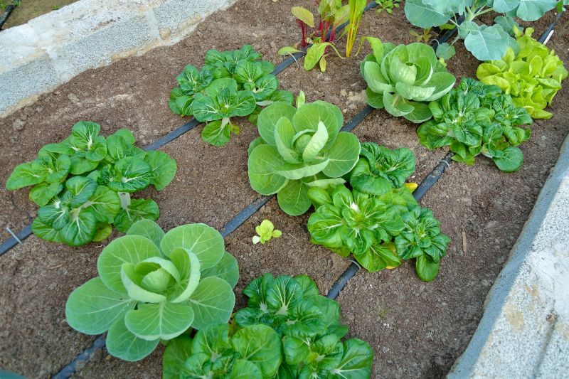 Subsurface Drainage Setup