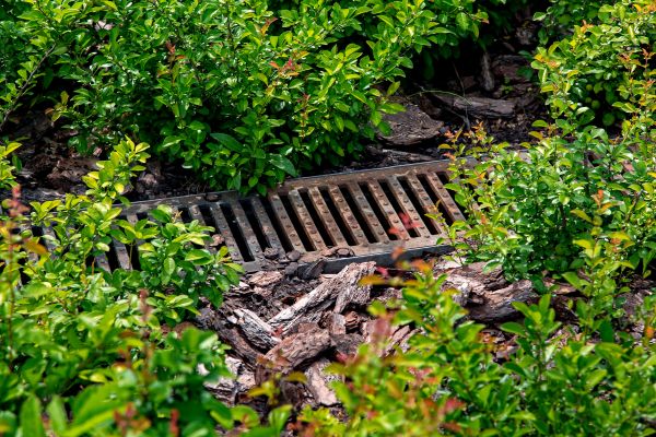 Cost of Underground Drainage Service in Hudsonville
