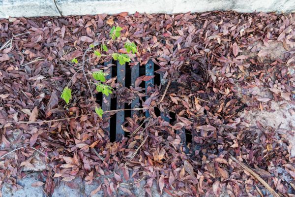 Cost of Yard Drain Unclogging in Hudsonville