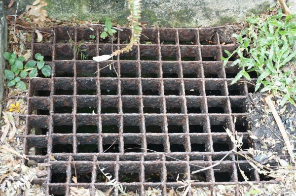 Cost of Yard Drain Cleaning in Hudsonville