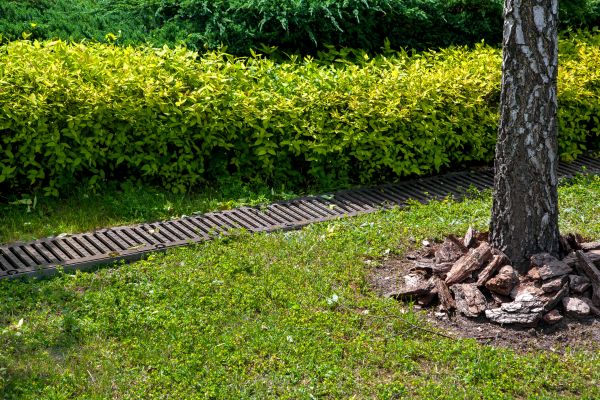Cost of Residential Landscape Drainage in Hudsonville