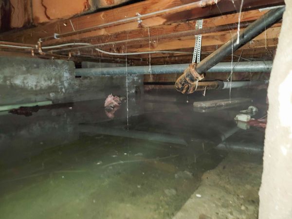 Cost of Crawlspace Drainage in Hudsonville