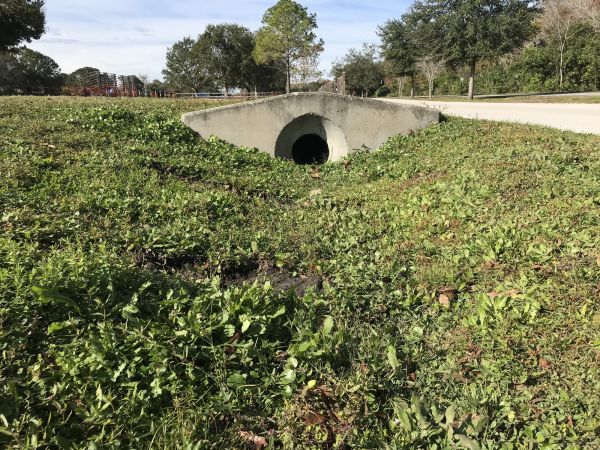 Cost of Swale Drainage Service in Hudsonville